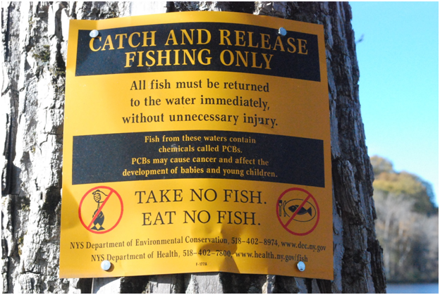 No Fishing 1